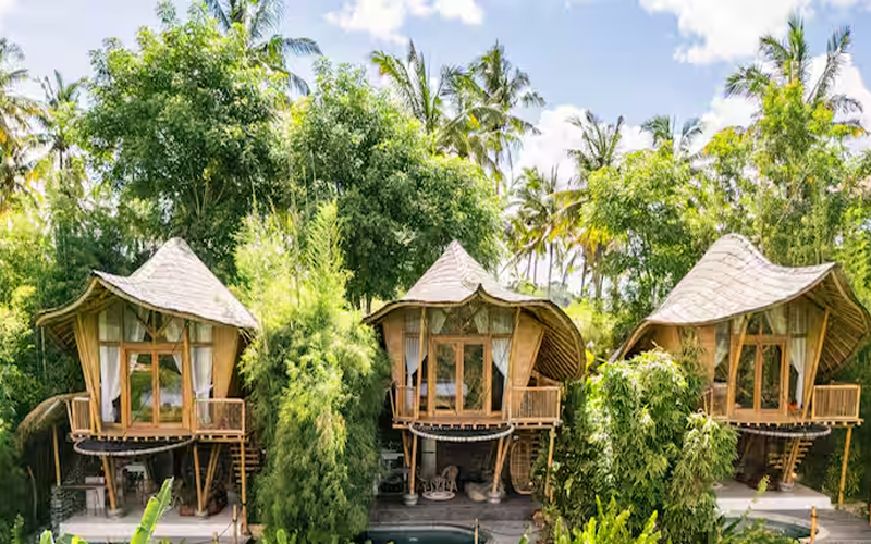 ecolodge